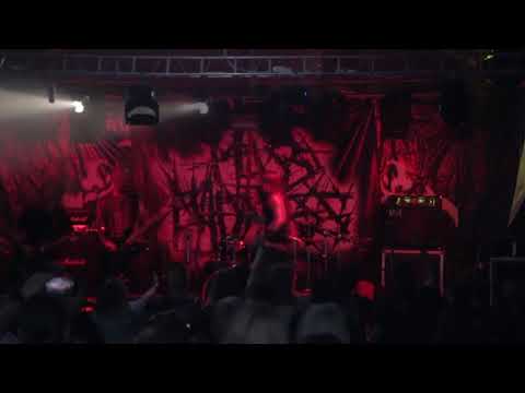 MASS MADNESS - Blogger Collapsed (Коллапс Оператора)