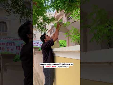 Meetha neem 🌿| BHUONE 144p| #relatablecontent #viralvideo #shortvideos #funny #comedy #viralmemes