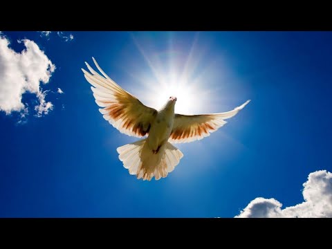 Nadzieja - Marta Wiadrowska i Natalia Pawelska