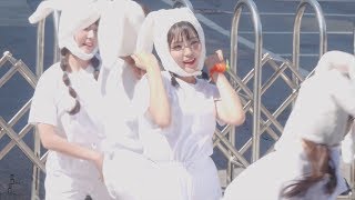 [180922] [4k] 핑크판타지(Pink Fantasy) '피카부' 희선 직캠 By 반창꼬 @ 홍대 버스킹