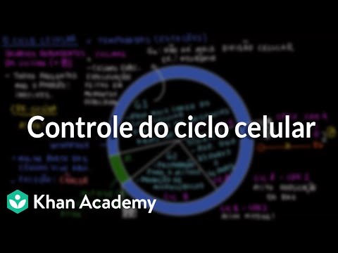 Cell cycle control