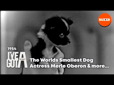 I've Got a Secret | Feb 3rd, 1954 | Garry Moore | Special Guest Merle Oberon | BUZZR