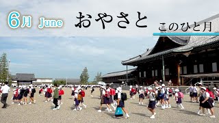 「6月June」『おやさと このひと月』