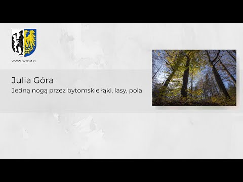 Julia Góra - Jedną nogą przez bytomskie łąki, lasy, pola