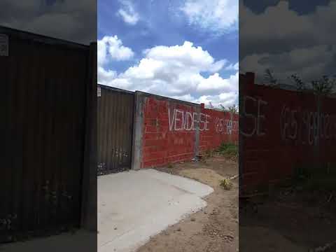 Outra banda. Maranguape, Ceará, Brasil. Jan. 2026. #brasil #brasile #maranguape #nordeste #pédeserra