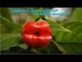 EN TAMIL NEYAR VIRUPPAM MUTHTHAMA AASAI MUTHTHAMA VILAKKETRIYAVAL LYRICS