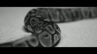 Porta - Equilibrio (Video Teaser Oficial)