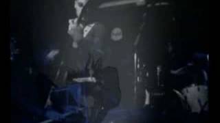 Ghost dance party - The Knutz