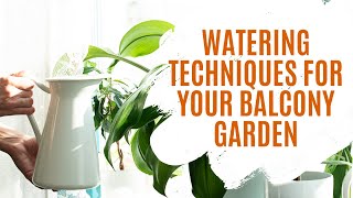 Balcony Garden Series Episode 4: "Watering Techniques for Your Balcony Garden"