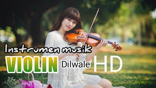 Download lagu INSTRUMEN MUSIK VIOLIN || Janam - Janam Dilwale HD mp3