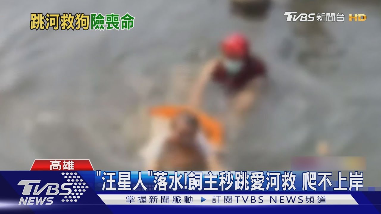 「汪星人」落水!飼主秒跳愛河救 牆沿高爬不上岸