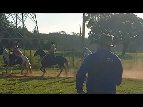 Castrado Jovem de Batida. IV COPA DE CÓRREGO FUNDO-MG. 