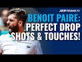 33 PERFECT Benoit Paire Drop Shots & Touches! ?