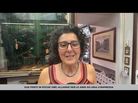 Allarme armi ad aria compressa, l'armiera: "Alcuni le vogliono per cacciare topi e gabbiani"
