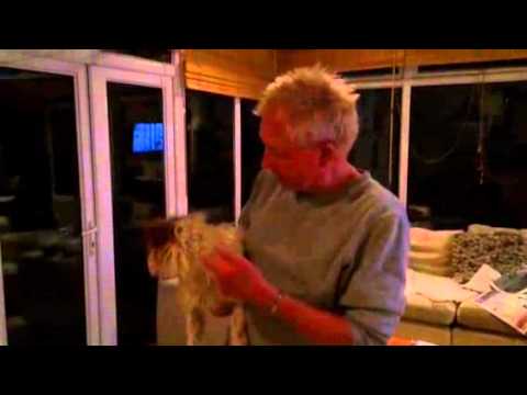 Tribute to Keith Harris and Orville