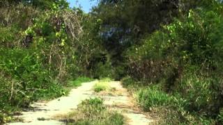 KREIDLER - Rote Wüste VIDEO-EDIT (official video HD)