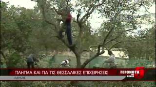 ΠΛΗΓΜΑ ΚΑΙ ΓΙΑ ΤΙΣ ΘΕΣΣΑΛΙΚΕΣ ΕΠΙΧΕΙΡΗΣΕΙΣ