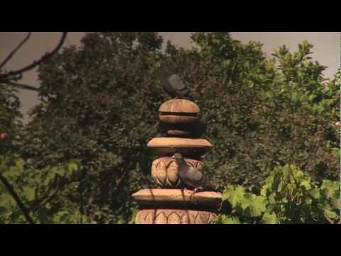 Click to Watch the UPDATE: Tikrit Falls - After Mosul Fell to Islamists. Christians Flee in Fear: Time to Reassess the Current Situation in Iraq video