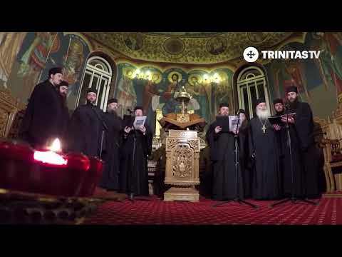 ÎNTR-O SARĂ DE DEMULT - Părintele Ghelasie Țepeș și Obștea Mănăstirii Sighișoara (colindă)