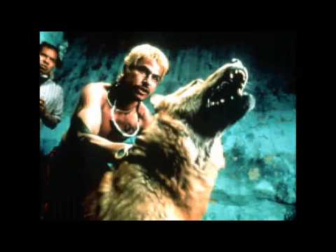 Nacha pop - Lucha de gigantes (Amores perros)