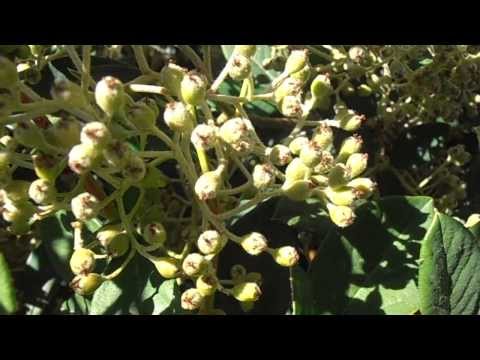 Metodi di cura efficace di alcolismo Cura di Kuznetsk di alcolismo