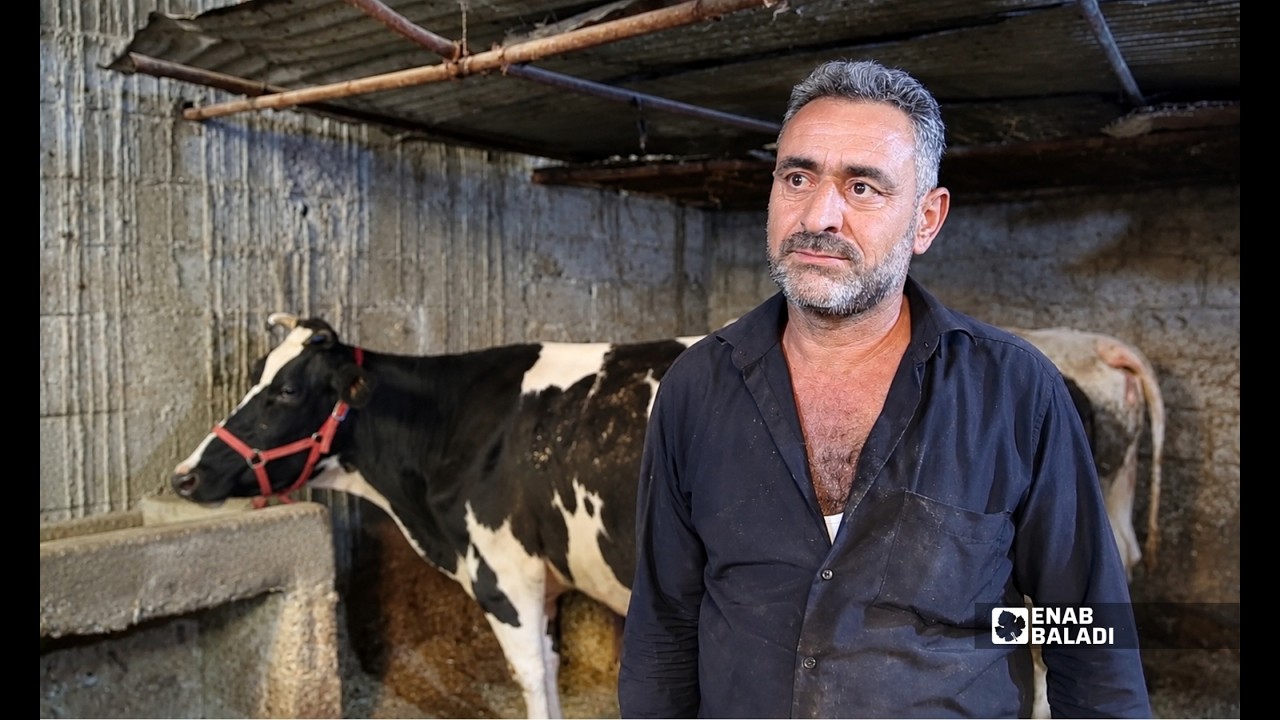 راتب الحافي يتحدث عن تربية الأبقار في داريا: مهنة بتستر صاحبها