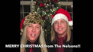 Merry Christmas from the Nelsons 2020