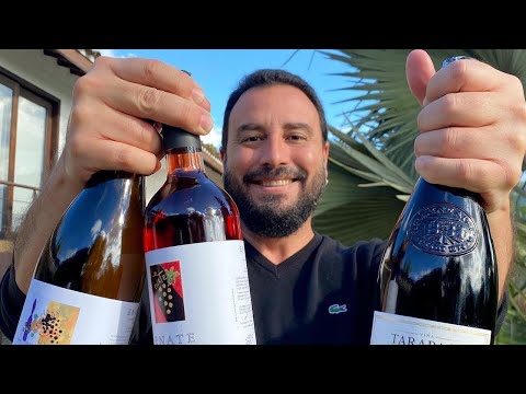 ¡Cómo elegir un Buen Vino! | ¡10 TIPS para que nunca falles! | Tulio Recomienda