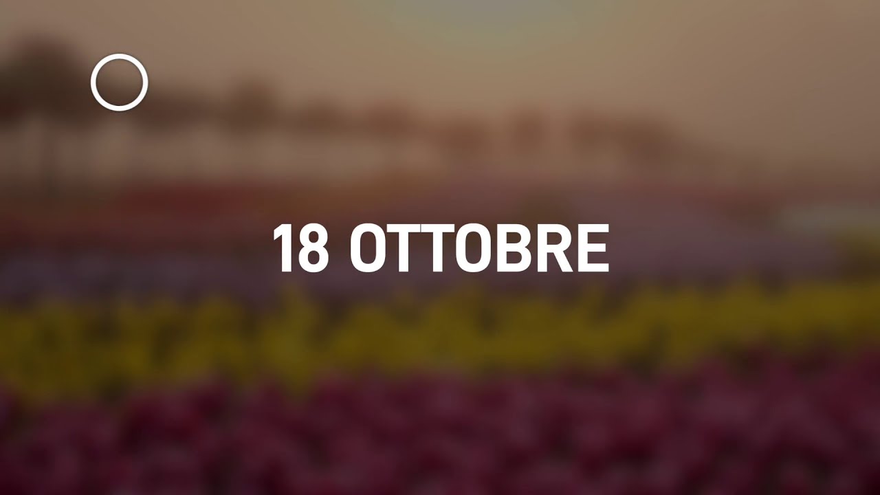 18 Ottobre 2024 | Meditazione Parole di Vita