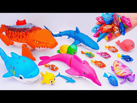 [🐳Toy asmr🐳] RC Mosasaurus & Gold Shark & RC Crocodile & Aquarium ASMR Satisfying with Unboxing