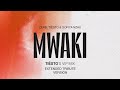 Mwaki (Tiësto's VIP Mix) [Extended Mix] - Zerb, Soiya Nazu