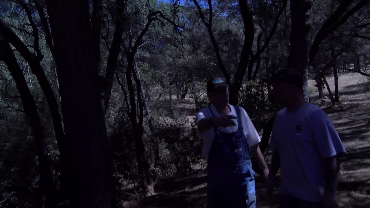 Cosmic Roots Ranch 1