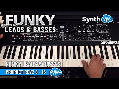 APL015 - Funky Leads & Basses - Sequential Prophet Rev2 ( 60 presets ) - Video Preview 1