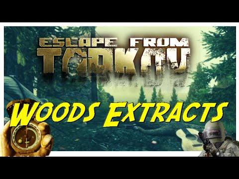 Escape from Tarkov Woods Extracts - Beginners Guide