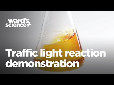 Ward's Traffic Light Reaction Demonstration
