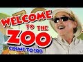Welcome to the Zoo | Count to 100 | Counting by 1's | Counting Song for Kids | Jack Hartmann