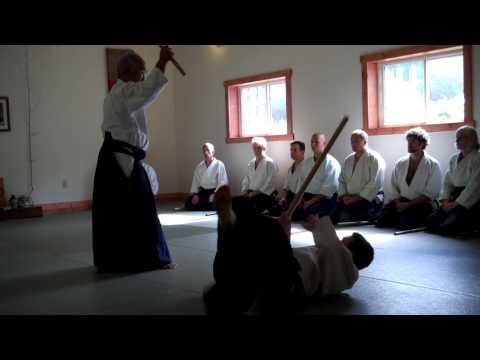 Chiba Sensei advanced weapons class, 2011 Regional Seminar - Part 2