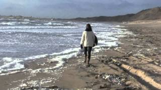 Donkerblauw - Frank Boeijen