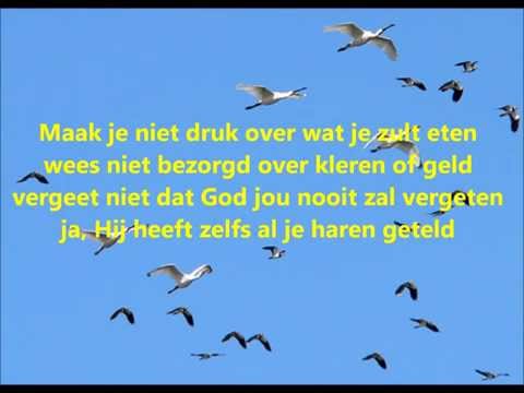 Lied: Maak je niet druk!