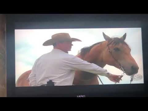 Chris Cox... teaching a horse to give