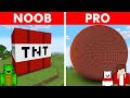 Using PROFESSIONAL Builder To Cheat In Building Challenge