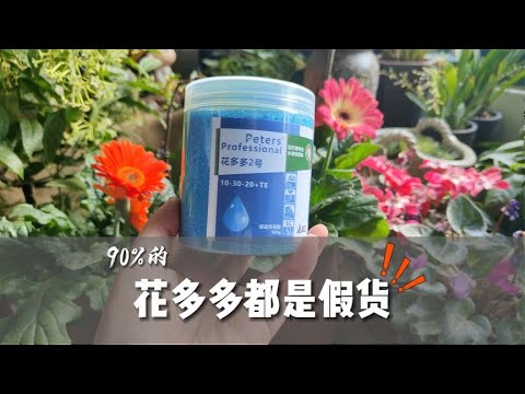 買假花
