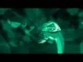 Caramelldansen Lion King