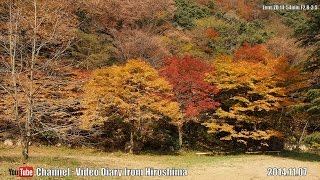preview picture of video '広島の風景 2014 秋 Part 25 三段峡 葭ヶ原 安芸太田町 Scenery of Hiroshima 2014 Autumn,Three stage Gorges,Akioota town'