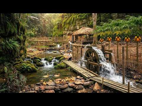 Time Lapse: Building a Bushcraft Farm in the Forest | Wooden Cabin, Fish Pond, Duck Pool & Gardening