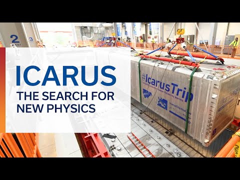 ICARUS: The search for new physics