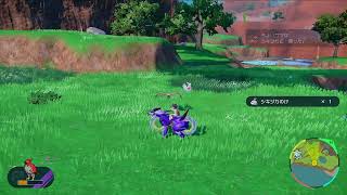 ポケットモンスターV_実況
