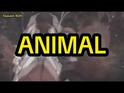 "Animal" - Magnolia Park, Ethan Ross & PLVTINUM (Tradução/Legendado) AMV Mix