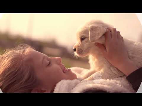 Spot para redes Nutribom para perros