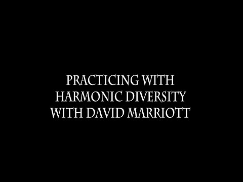 DHMF Minute Masterclass with David Marriott